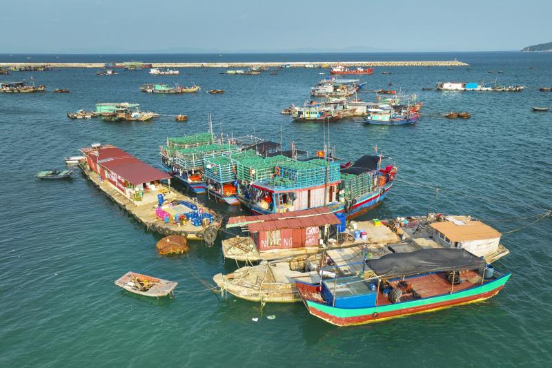 Kỳ 1: Cô Tô - Phên dậu Vịnh Bắc Bộ - Ảnh 12.