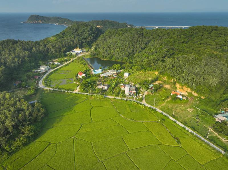 Kỳ 1: Cô Tô - Phên dậu Vịnh Bắc Bộ - Ảnh 14.