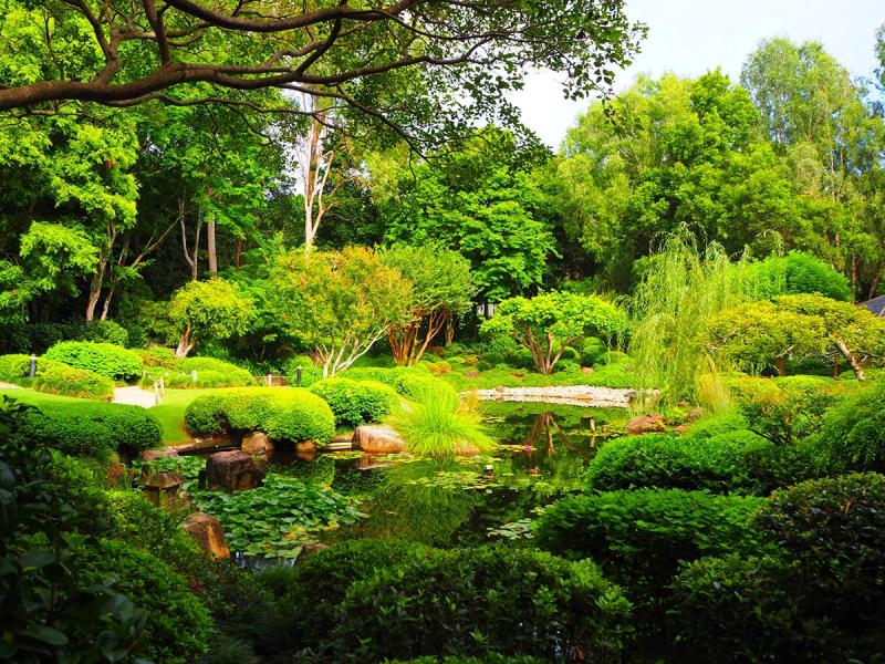 4 trải nghiệm nhất định phải thử nếu bạn chỉ có một ngày ở Brisbane- Ảnh 1. 4 trải nghiệm nhất định phải thử nếu bạn chỉ có một ngày ở Brisbane- Ảnh 1.