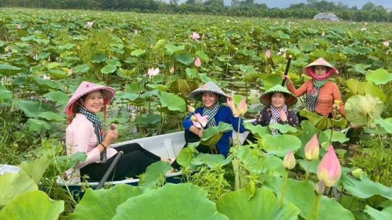 Đồng Tháp thu hút du khách bởi nét đẹp mộc mạc, tự nhiên- Ảnh 3. Đồng Tháp thu hút du khách bởi nét đẹp mộc mạc, tự nhiên- Ảnh 3.