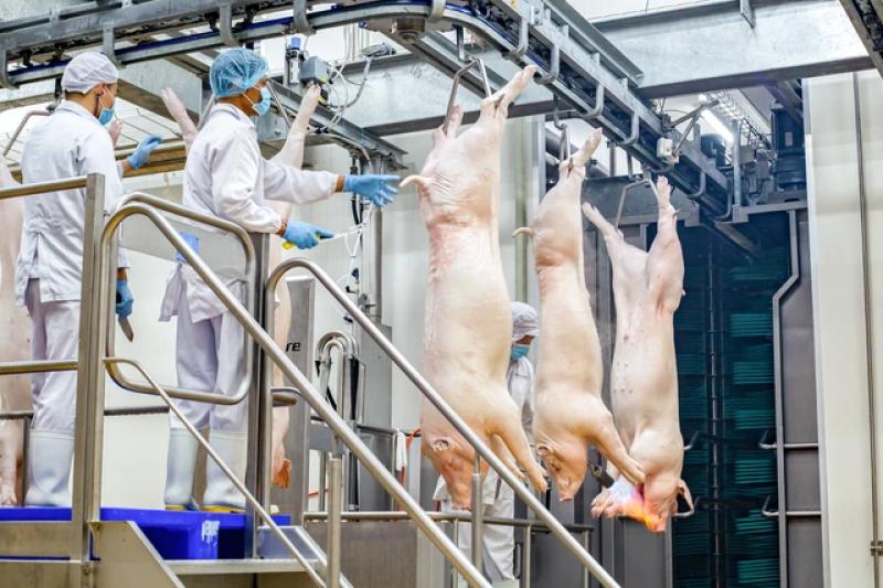 Mua thịt ủ mát tại siêu thị: An toàn - truy xuất nguồn gốc rõ ràng - Ảnh 4.