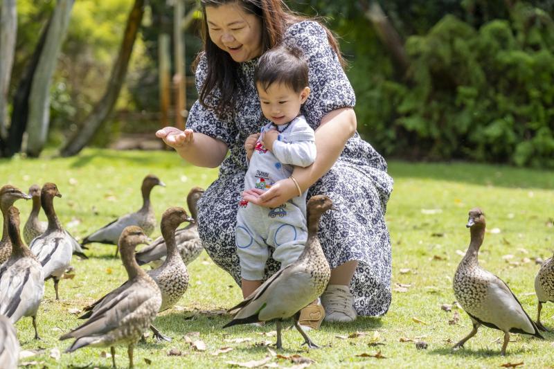 Khám phá vẻ đẹp nguyên sơ của vùng đất Tây Australia- Ảnh 10. Khám phá vẻ đẹp nguyên sơ của vùng đất Tây Australia- Ảnh 10.