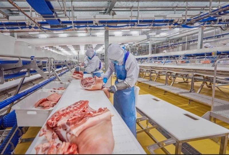 Mua thịt ủ mát tại siêu thị: An toàn - truy xuất nguồn gốc rõ ràng - Ảnh 8.