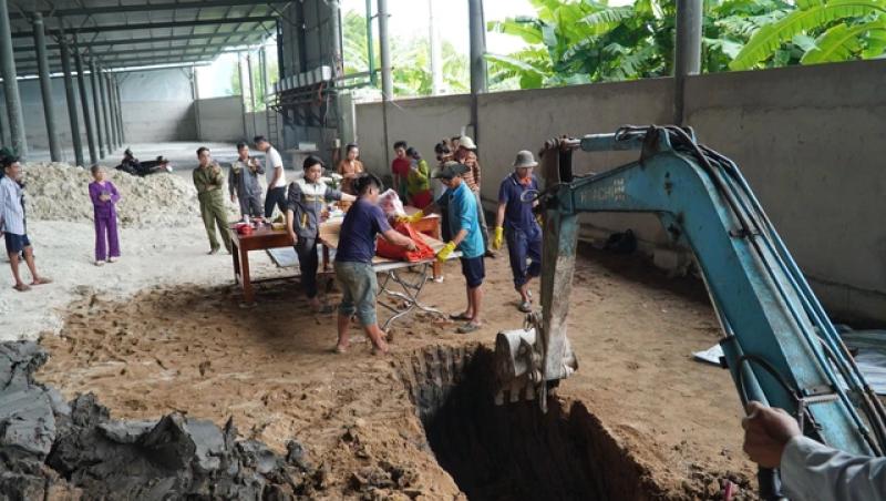 Cá heo bị chĩa sắt đâm trên sông Gành Hào chết sau hai ngày được giải cứu - Ảnh 5.