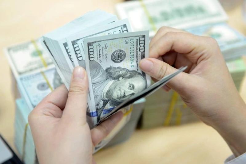 Giá USD chịu sức ép- Ảnh 1. Giá USD chịu sức ép- Ảnh 1.