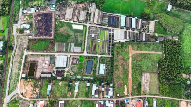 Thu hồi dự án rau an toàn biến tướng - Ảnh 1.