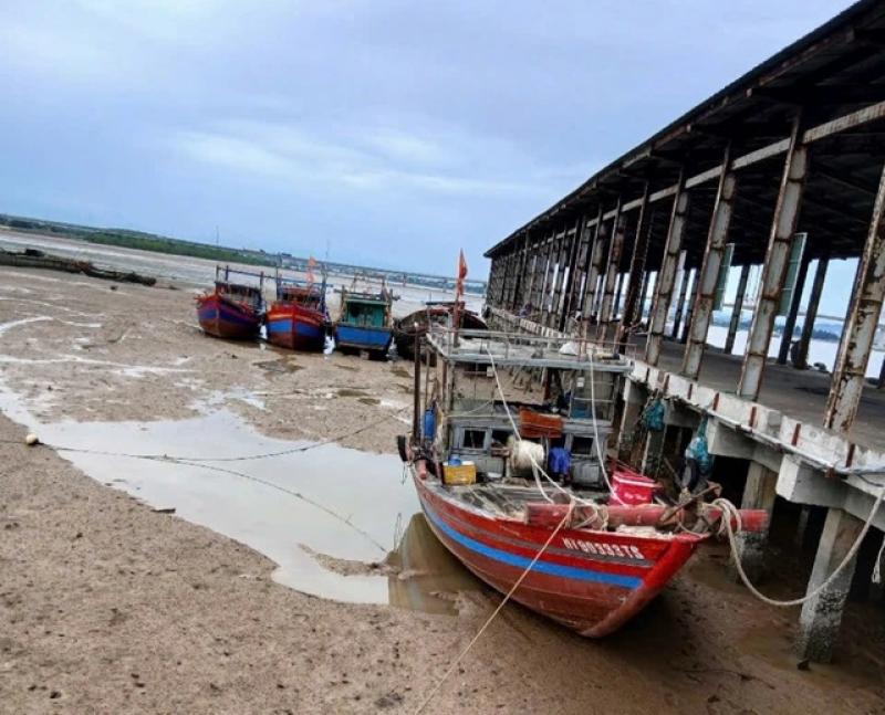 Đầu tư hàng trăm tỉ, cảng cá vẫn không 'đón' được tàu- Ảnh 3. Đầu tư hàng trăm tỉ, cảng cá vẫn không 'đón' được tàu- Ảnh 3.