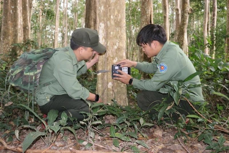 Muông thú trở về đại ngàn Chư Mom Ray - Ảnh 4.