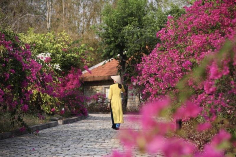 5 địa phương Việt Nam được thế giới gọi tên vì du lịch bền vững- Ảnh 1. 5 địa phương Việt Nam được thế giới gọi tên vì du lịch bền vững- Ảnh 1.