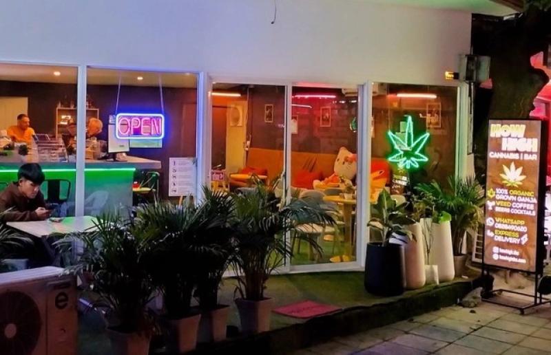 Thái Lan tái hình sự hóa cần sa Thái Lan sau ba năm tự do hút cần sa - Ảnh 1. Thái Lan tái hình sự hóa cần sa Thái Lan sau ba năm tự do hút cần sa - Ảnh 1.