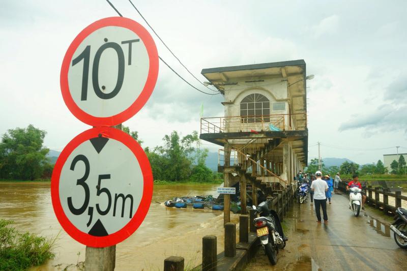 Nước lũ cuốn trôi lồng bè, người dân mất trắng 50 tấn cá - Ảnh 2.