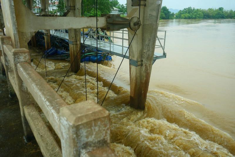 Nước lũ cuốn trôi lồng bè, người dân mất trắng 50 tấn cá - Ảnh 7.