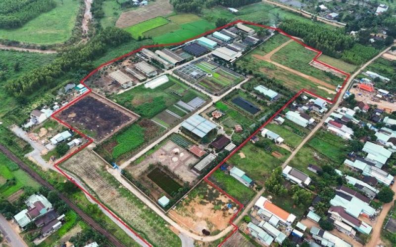 Sẽ thu hồi dự án sản xuất rau an toàn tại Bình Định do sai phạm- Ảnh 3. Sẽ thu hồi dự án sản xuất rau an toàn tại Bình Định do sai phạm- Ảnh 3.