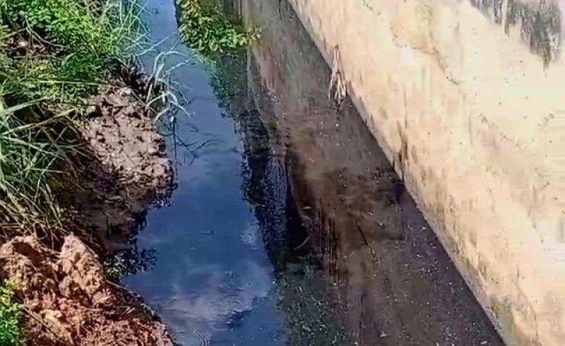 Long An: Sản xuất trong nhà xưởng trái phép gây ô nhiễm giữa khu dân cư - Ảnh 2.