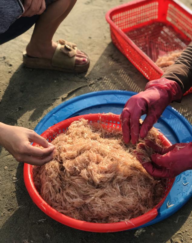 Thi ảnh Khát vọng năm rồng: 'Lộc trời' đầu xuân trên bãi biển Mân Thái- Ảnh 1. Thi ảnh Khát vọng năm rồng: 'Lộc trời' đầu xuân trên bãi biển Mân Thái- Ảnh 1.