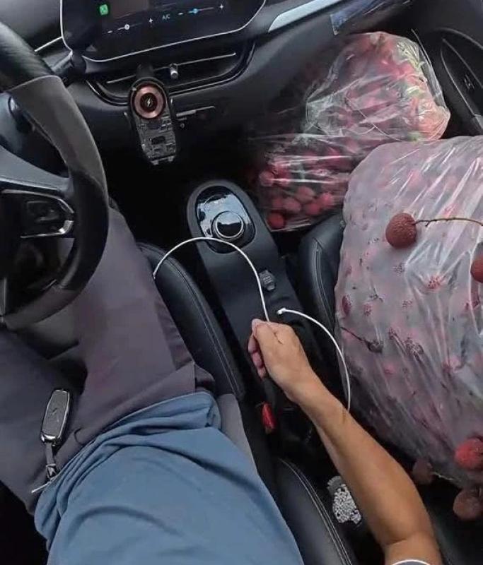 Người đi buôn gặp nạn giữa đường, tài xế taxi nhiệt tình chở giúp 200 kg vải - Ảnh 2.