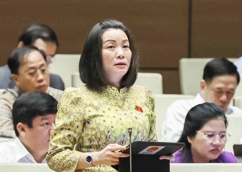 Sáp nhập tỉnh, 'dừa Bến Tre, hạt điều Bình Phước, hang Sơn Đoòng…' bảo hộ thế nào? - Ảnh 1.