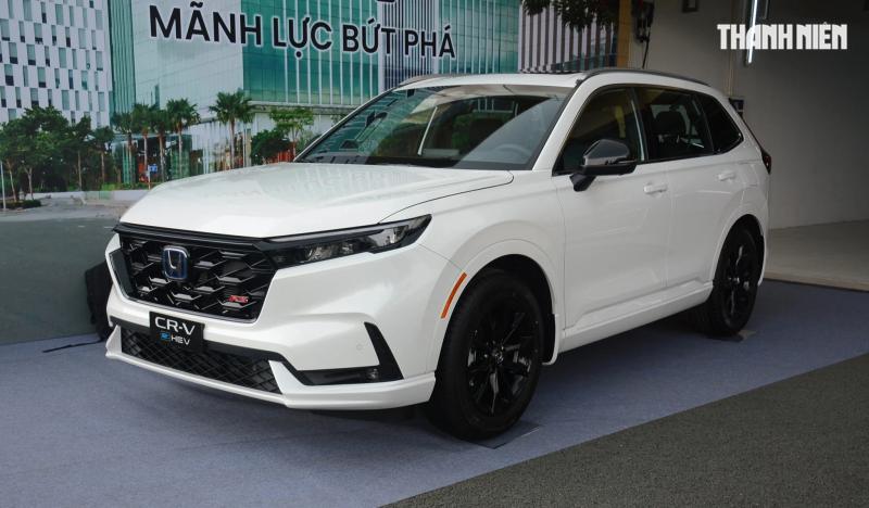 Tiêu thụ ô tô hybrid chững lại, người Việt vẫn theo xu hướng 'ăn chắc, mặc bền' - Ảnh 2.