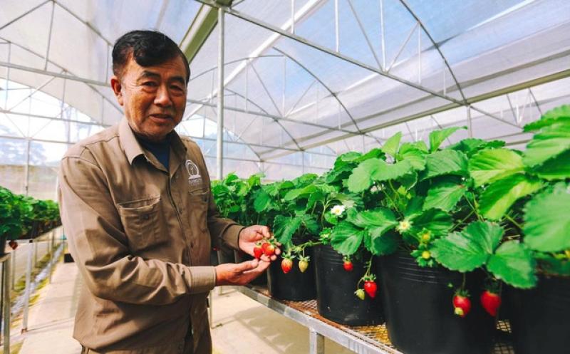 Langfarm - Hành trình từ đặc sản Đà Lạt đến trải nghiệm bản sắc Việt - Ảnh 1.