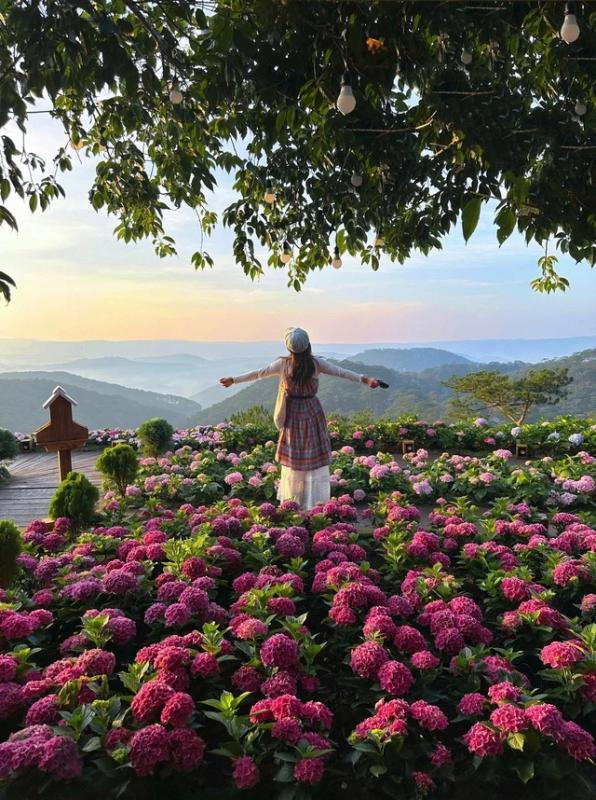 ‘Cầu tình yêu’ và ‘Đi cùng mưa’, những điểm check-in mới toanh tại Đà Lạt- Ảnh 3. ‘Cầu tình yêu’ và ‘Đi cùng mưa’, những điểm check-in mới toanh tại Đà Lạt- Ảnh 3.