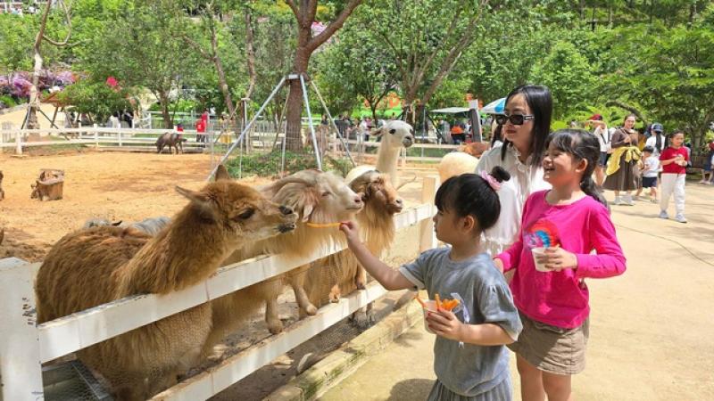 Đến Puppy Farm Đà Lạt khám phá vườn nhiệt đới - Ảnh 3.