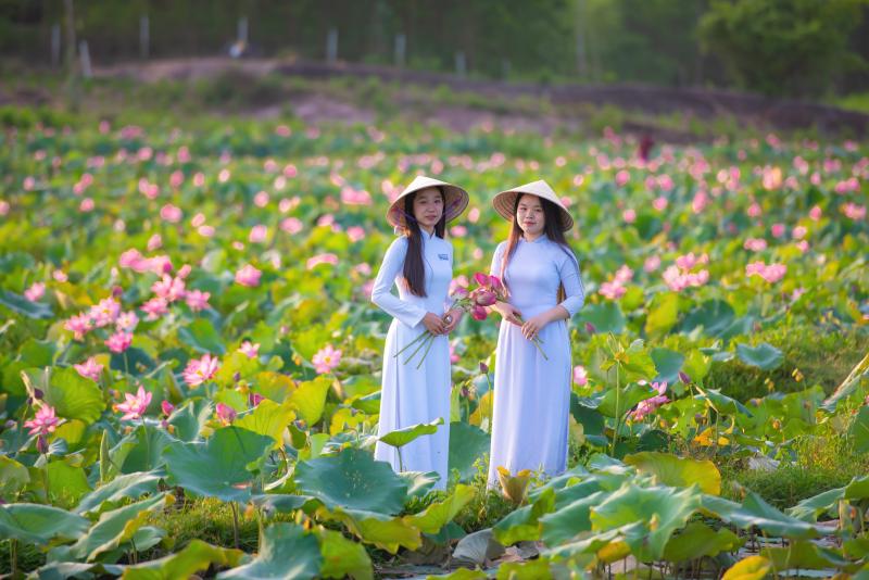 Chiêm ngưỡng cảnh đẹp đầy mê hoặc của đầm sen Trà Lý- Ảnh 6. Chiêm ngưỡng cảnh đẹp đầy mê hoặc của đầm sen Trà Lý- Ảnh 6.