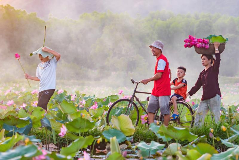 Chiêm ngưỡng cảnh đẹp đầy mê hoặc của đầm sen Trà Lý- Ảnh 7. Chiêm ngưỡng cảnh đẹp đầy mê hoặc của đầm sen Trà Lý- Ảnh 7.