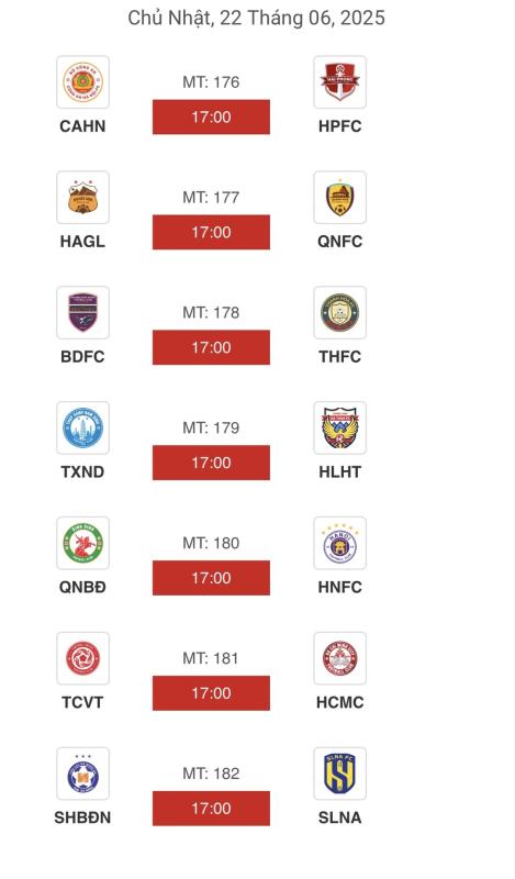 Lịch thi đấu vòng cuối cùng V-League: Đà Nẵng còn nước còn tát, đội Bình Định ‘sống chết’ do… số- Ảnh 1. Lịch thi đấu vòng cuối cùng V-League: Đà Nẵng còn nước còn tát, đội Bình Định ‘sống chết’ do… số- Ảnh 1.