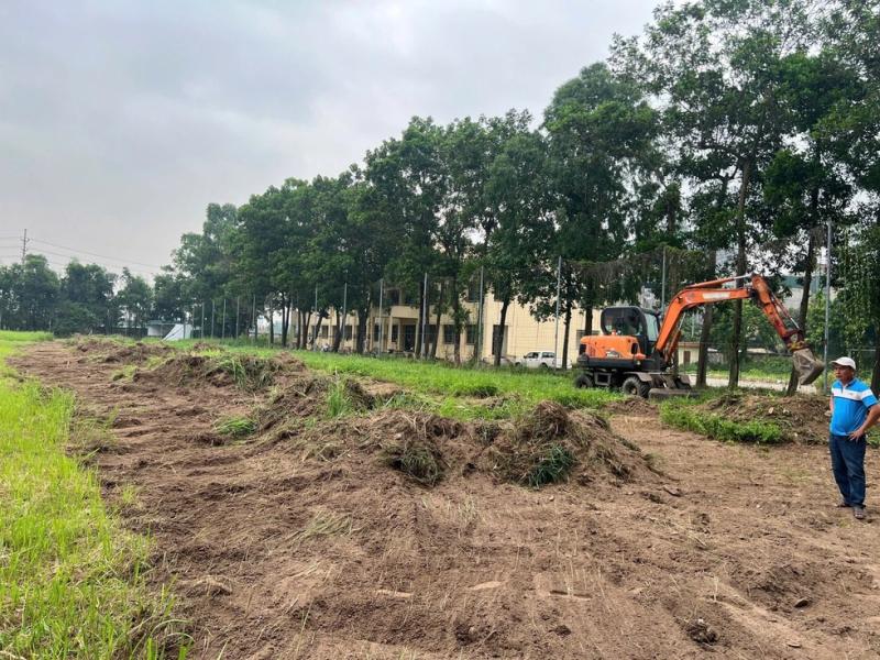 HLV Tây Ban Nha và Ninh Bình FC sắp được ‘tung hoành’ trên mặt sân cực đẹp- Ảnh 5. HLV Tây Ban Nha và Ninh Bình FC sắp được ‘tung hoành’ trên mặt sân cực đẹp- Ảnh 5.