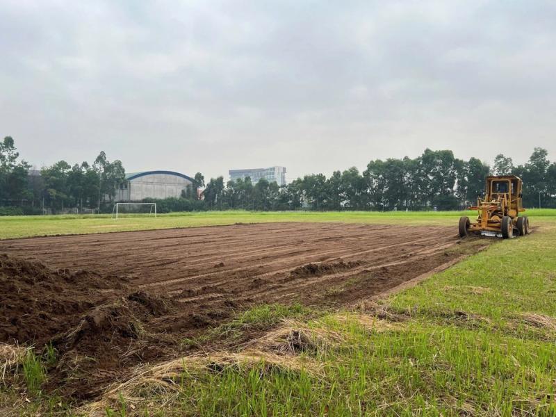 HLV Tây Ban Nha và Ninh Bình FC sắp được ‘tung hoành’ trên mặt sân cực đẹp- Ảnh 3. HLV Tây Ban Nha và Ninh Bình FC sắp được ‘tung hoành’ trên mặt sân cực đẹp- Ảnh 3.