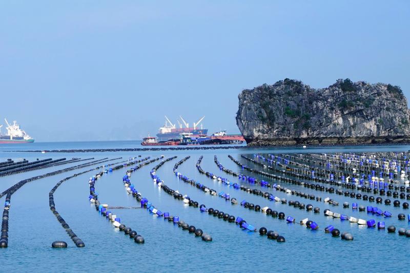 Đặc khu - Ảnh 12. Đặc khu - Ảnh 12.