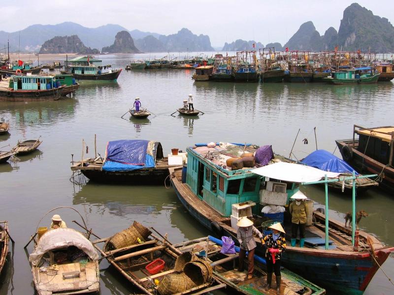 Đặc khu - Ảnh 2. Đặc khu - Ảnh 2.