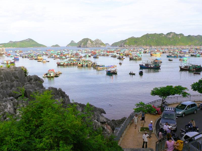 Kỳ 3: Cát Hải - Đặc khu dự trữ sinh quyển thế giới - Ảnh 19.