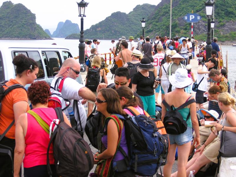 Kỳ 3: Cát Hải - Đặc khu dự trữ sinh quyển thế giới - Ảnh 3.