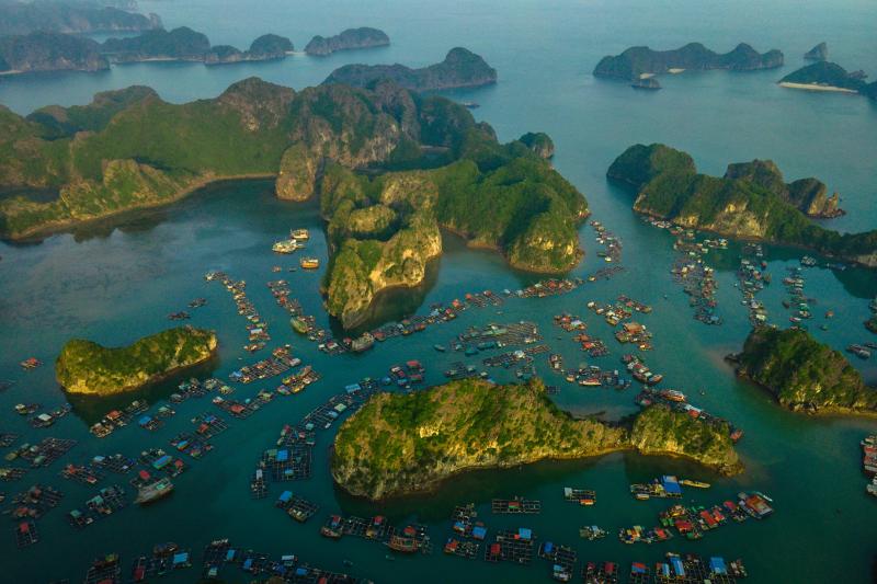Kỳ 3: Cát Hải - Đặc khu dự trữ sinh quyển thế giới - Ảnh 9.