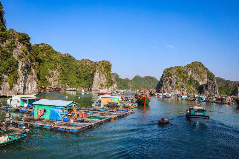 Kỳ 3: Cát Hải - Đặc khu dự trữ sinh quyển thế giới - Ảnh 26.