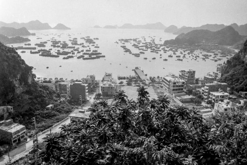 Kỳ 3: Cát Hải - Đặc khu dự trữ sinh quyển thế giới - Ảnh 4.