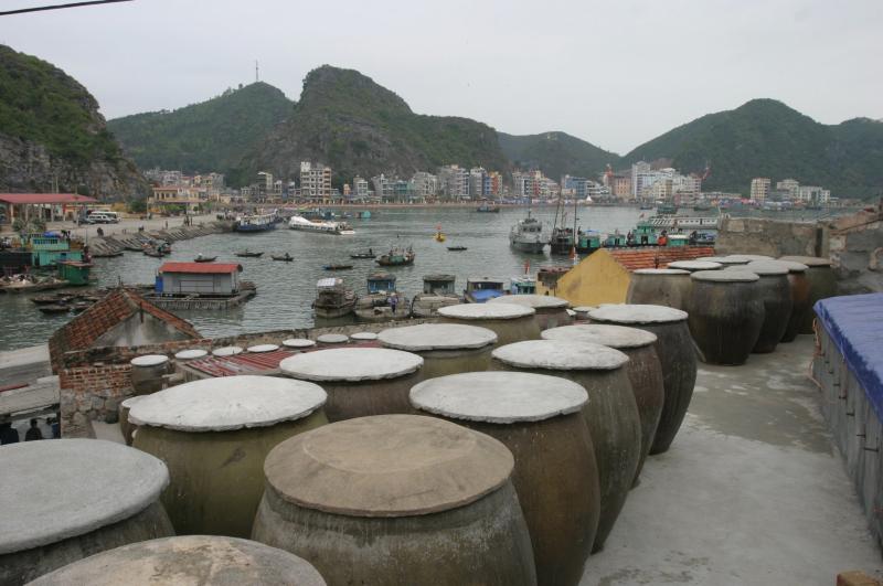 Kỳ 3: Cát Hải - Đặc khu dự trữ sinh quyển thế giới - Ảnh 2.