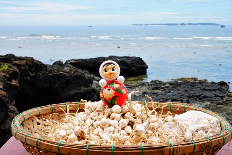 13 đặc khu của Việt Nam: Lý Sơn - đặc khu đất chật người đông- Ảnh 6. 13 đặc khu của Việt Nam: Lý Sơn - đặc khu đất chật người đông- Ảnh 6.