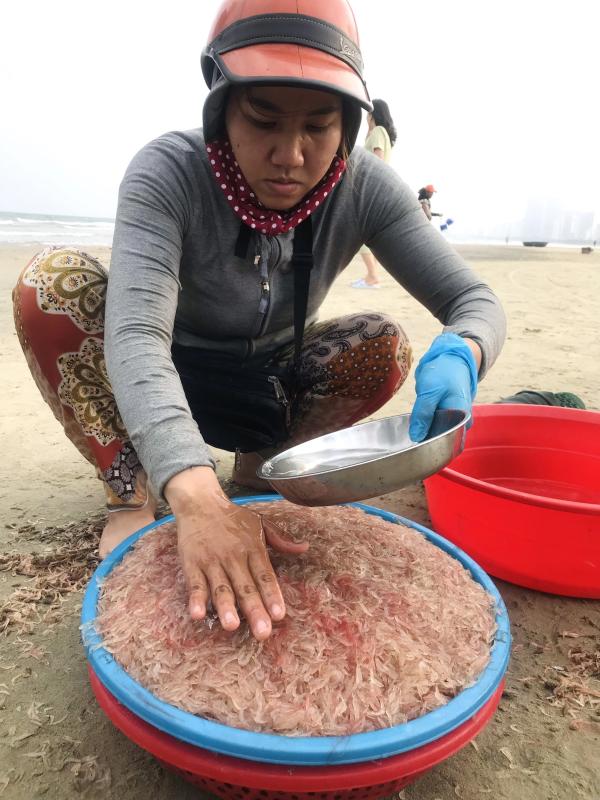 Thi ảnh Khát vọng năm rồng: 'Lộc trời' đầu xuân trên bãi biển Mân Thái- Ảnh 2. Thi ảnh Khát vọng năm rồng: 'Lộc trời' đầu xuân trên bãi biển Mân Thái- Ảnh 2.