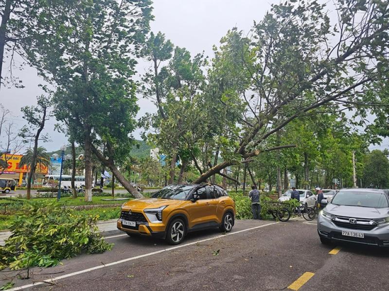 Thiệt hại nặng nề tại miền Trung do mưa lũ bất thường giữa mùa hè - Ảnh 11. Thiệt hại nặng nề tại miền Trung do mưa lũ bất thường giữa mùa hè - Ảnh 11.