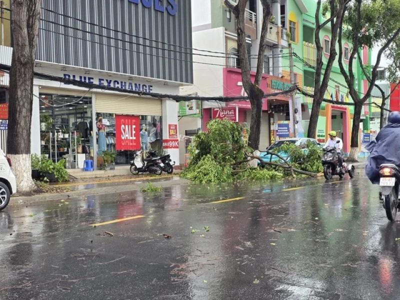 Mưa giông lớn làm sập bảng cổng chào ở Cần Thơ - Ảnh 1.