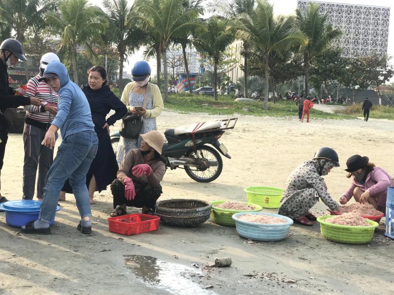 Thi ảnh Khát vọng năm rồng: 'Lộc trời' đầu xuân trên bãi biển Mân Thái- Ảnh 5. Thi ảnh Khát vọng năm rồng: 'Lộc trời' đầu xuân trên bãi biển Mân Thái- Ảnh 5.
