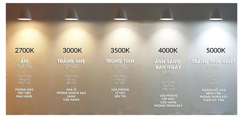 Tái sinh cơ thể mỗi đêm: Biến phòng ngủ thành 'thiên đường' phục hồi năng lượng - Ảnh 5.
