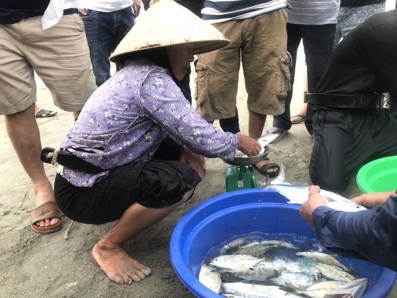 Thi ảnh Khát vọng năm rồng: 'Lộc trời' đầu xuân trên bãi biển Mân Thái- Ảnh 6. Thi ảnh Khát vọng năm rồng: 'Lộc trời' đầu xuân trên bãi biển Mân Thái- Ảnh 6.