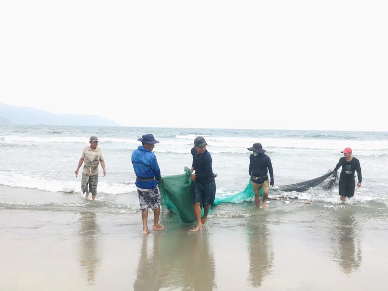 Thi ảnh Khát vọng năm rồng: 'Lộc trời' đầu xuân trên bãi biển Mân Thái- Ảnh 3. Thi ảnh Khát vọng năm rồng: 'Lộc trời' đầu xuân trên bãi biển Mân Thái- Ảnh 3.