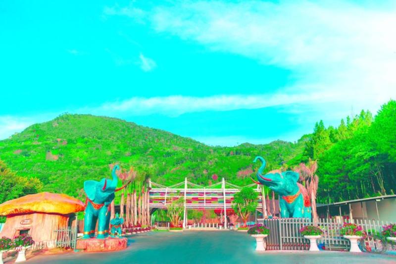 Rừng Thông Núi Voi - Điểm du lịch sinh thái mới giữa lòng Đà Lạt- Ảnh 1. Rừng Thông Núi Voi - Điểm du lịch sinh thái mới giữa lòng Đà Lạt- Ảnh 1.