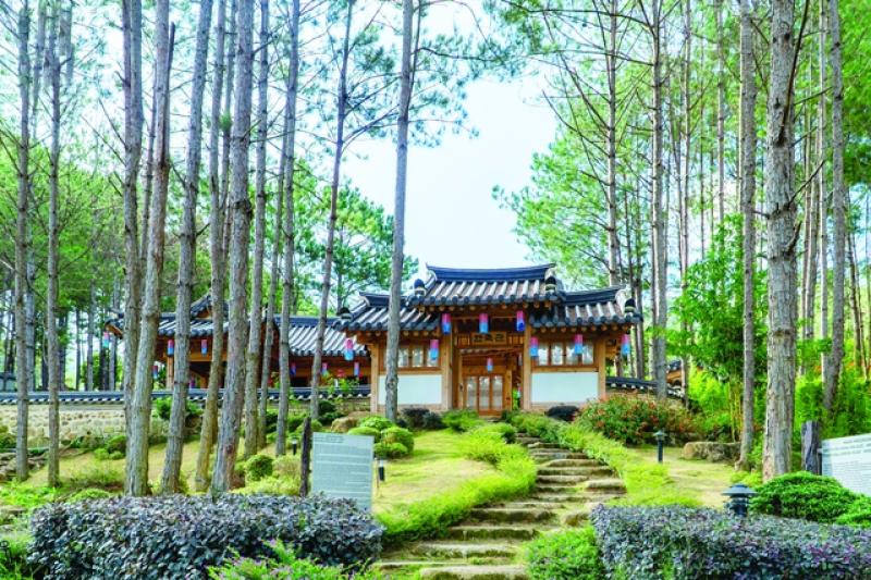 Rừng Thông Núi Voi - Điểm du lịch sinh thái mới giữa lòng Đà Lạt- Ảnh 3. Rừng Thông Núi Voi - Điểm du lịch sinh thái mới giữa lòng Đà Lạt- Ảnh 3.