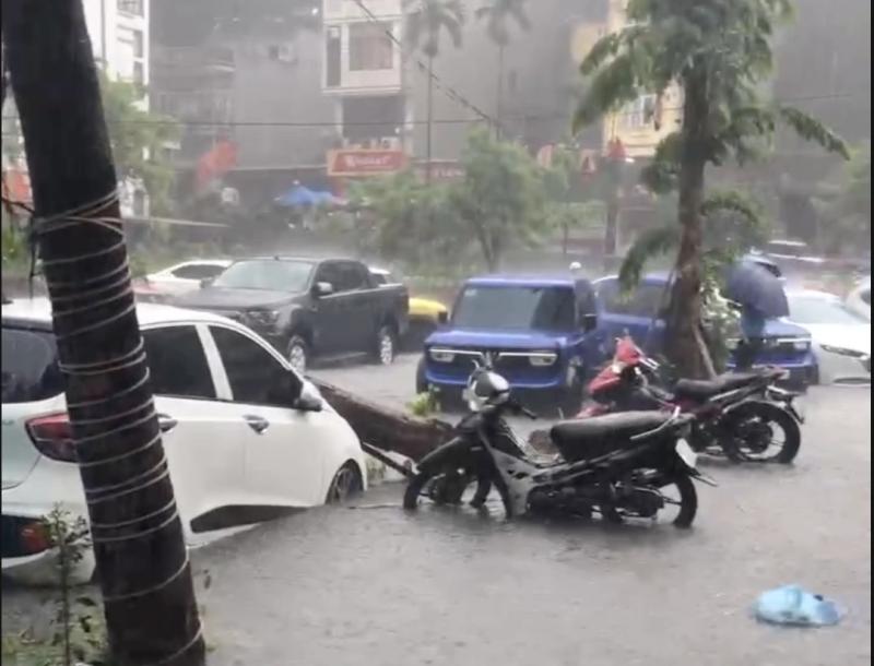 Hầm chung cư ở trung tâm Hạ Long ngập sâu, dân vội vàng di chuyển xe - Ảnh 1.