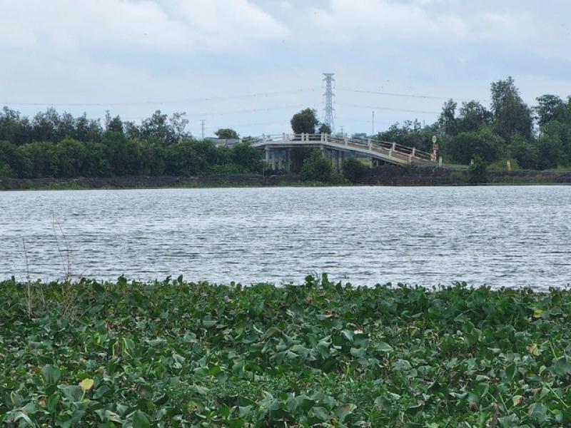 Long An: Một dự án ngàn tỉ trước viễn cảnh “vĩnh viễn dang dở” - Ảnh 3.